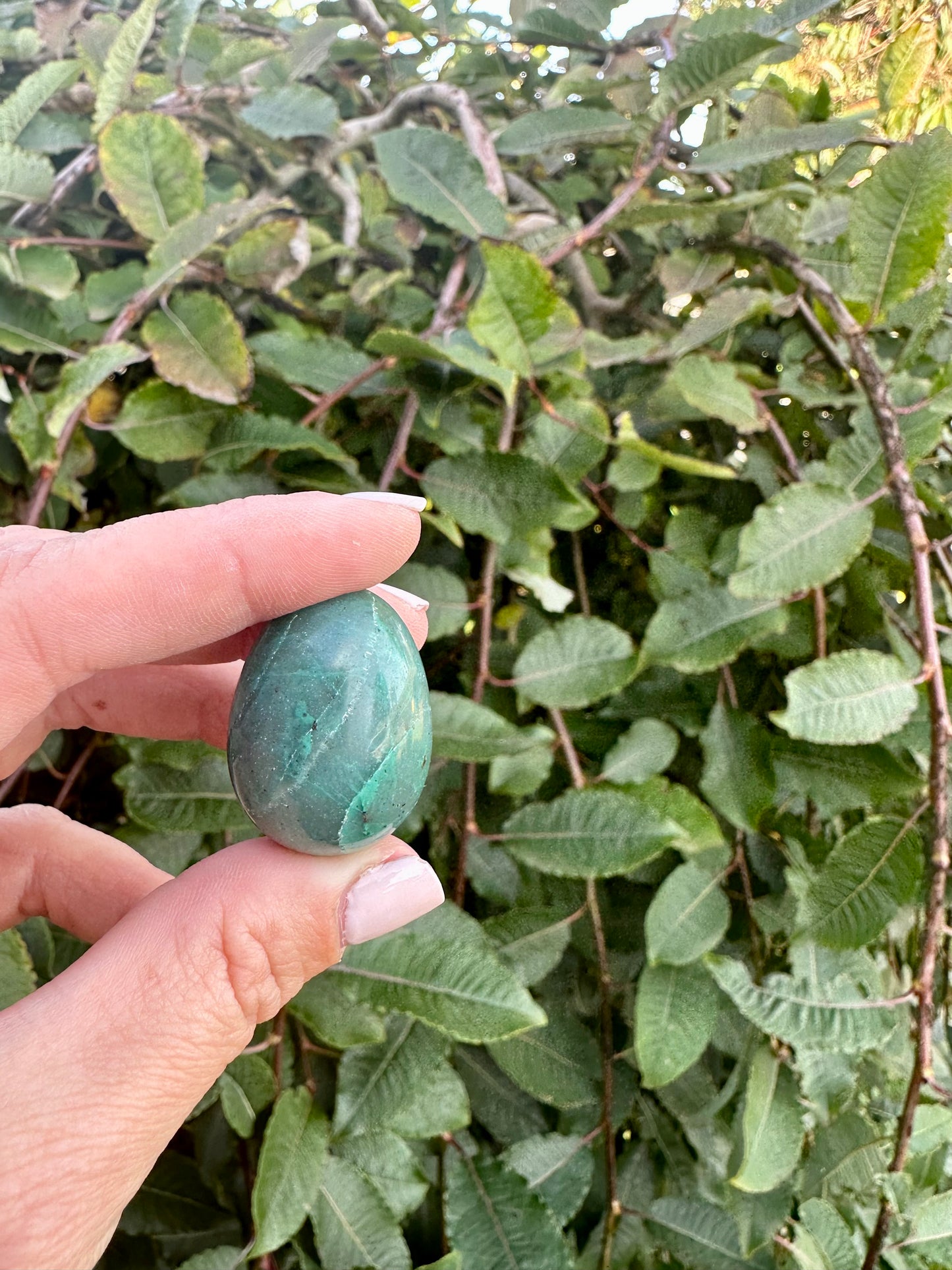 Chrysocolla egg