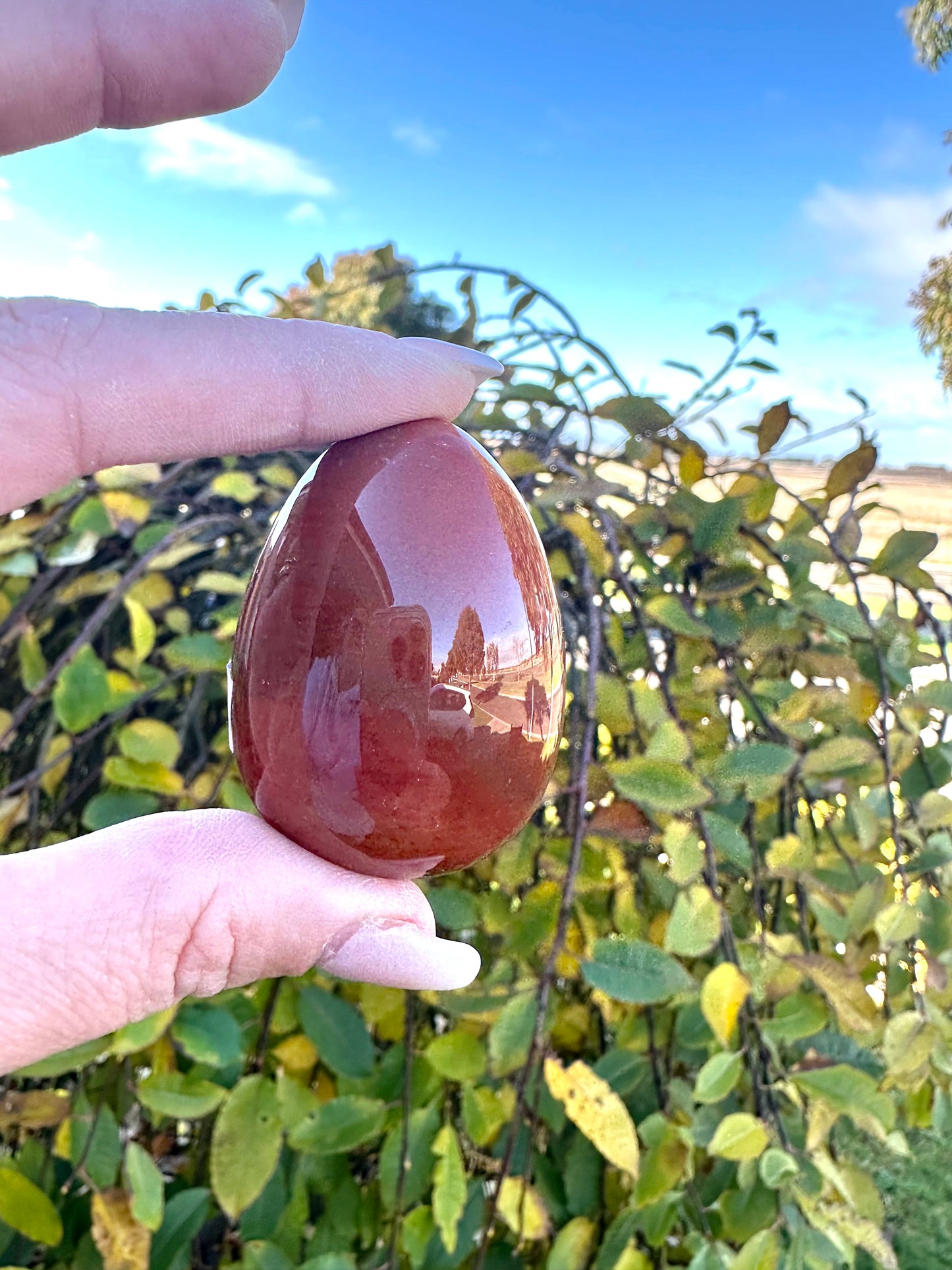 Carnelian egg