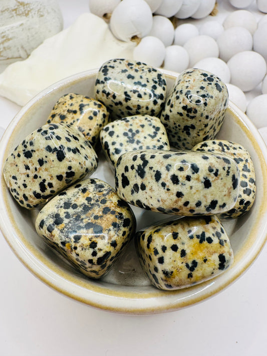 Dalmatian Jasper tumble