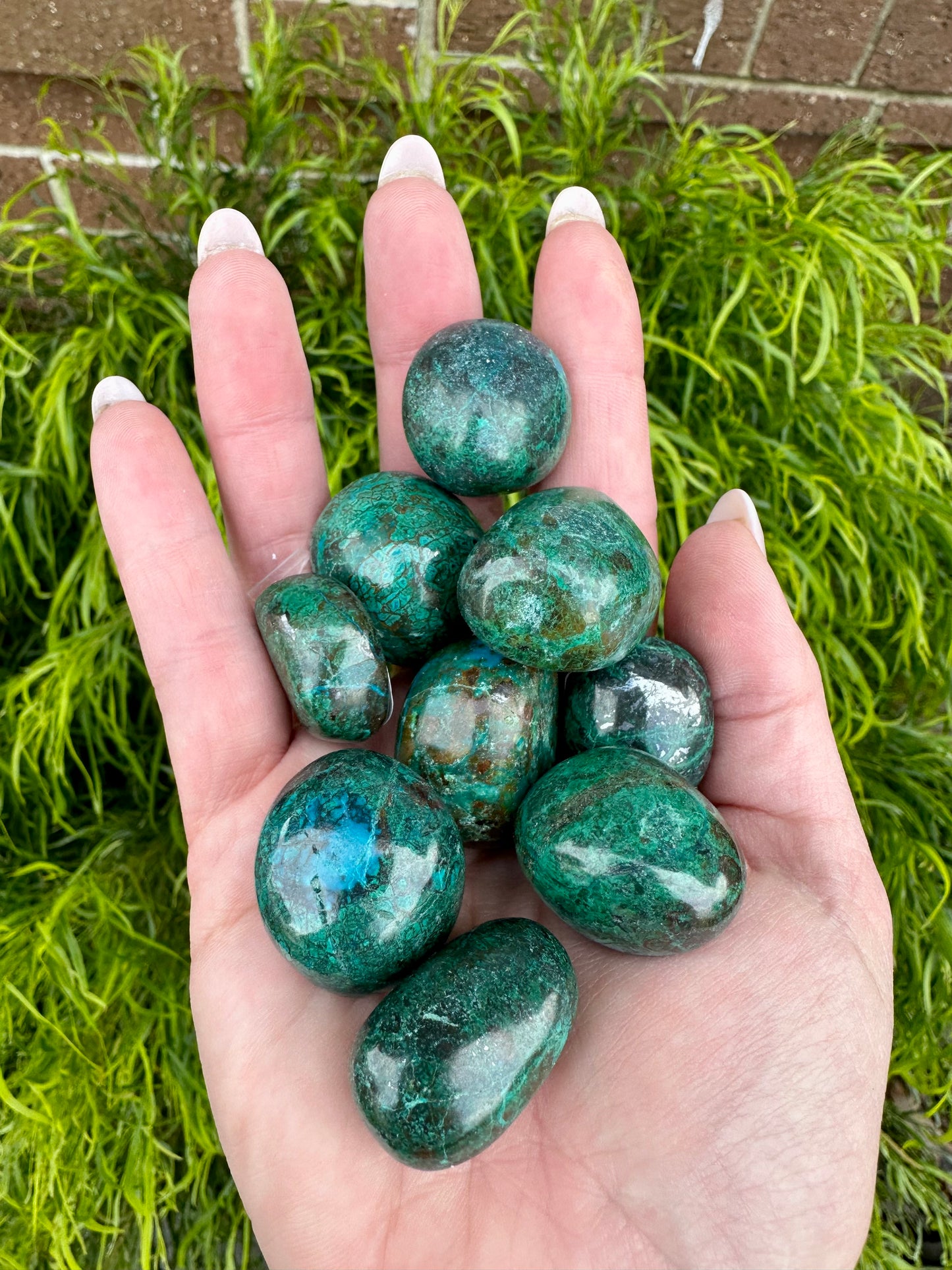 Chrysocolla