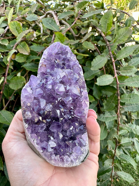 Amethyst cluster