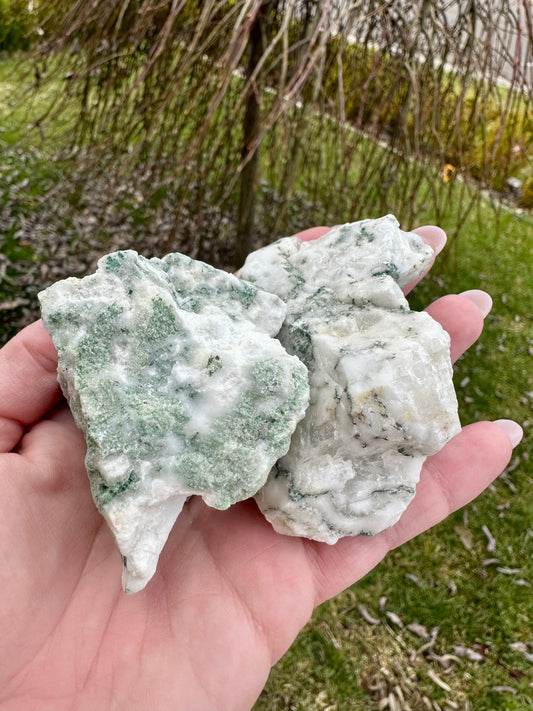 Tree agate raw