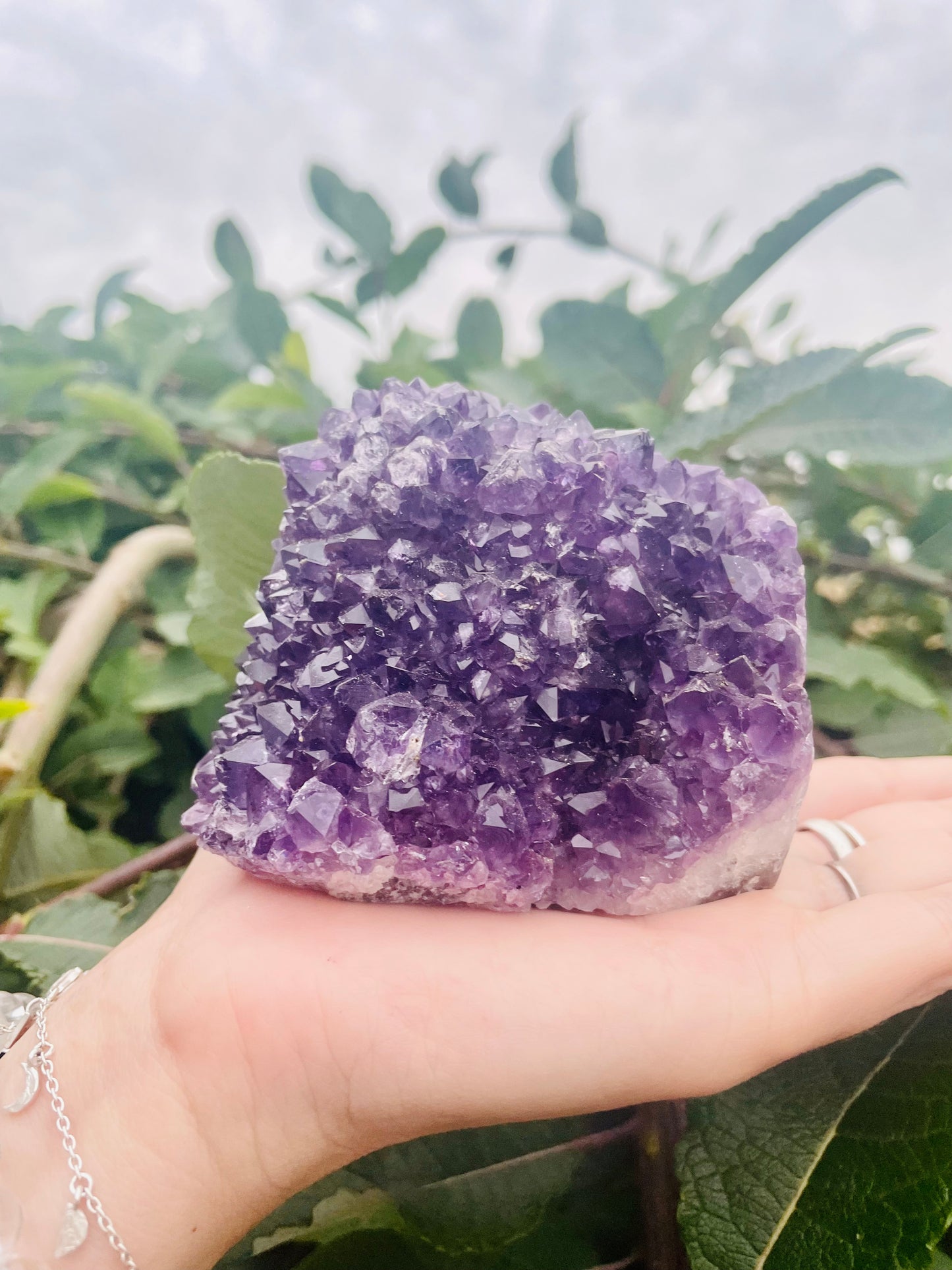 Amethyst cluster premium