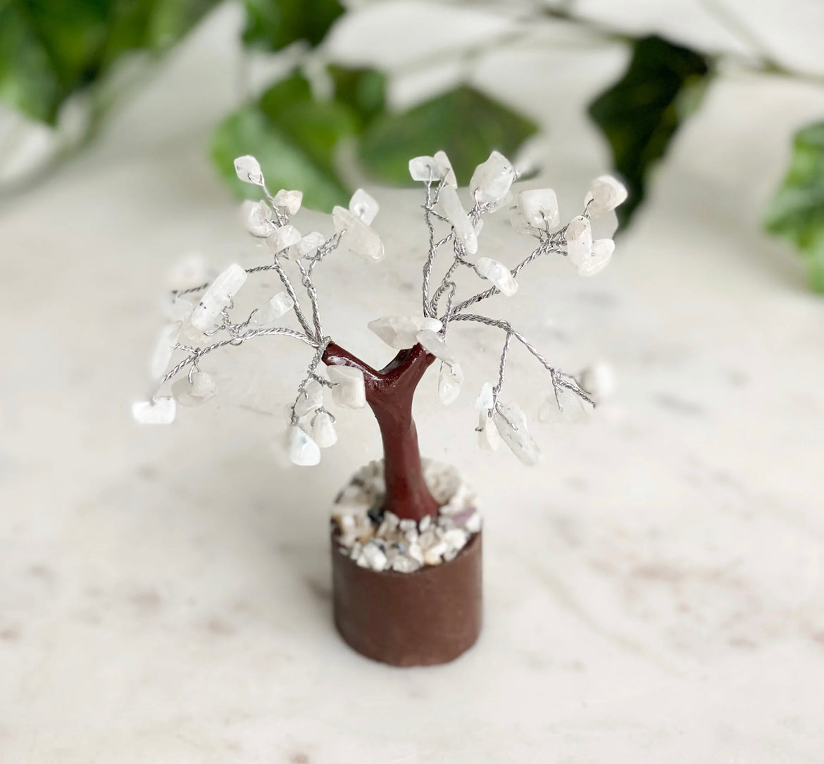 Small Crystal Trees