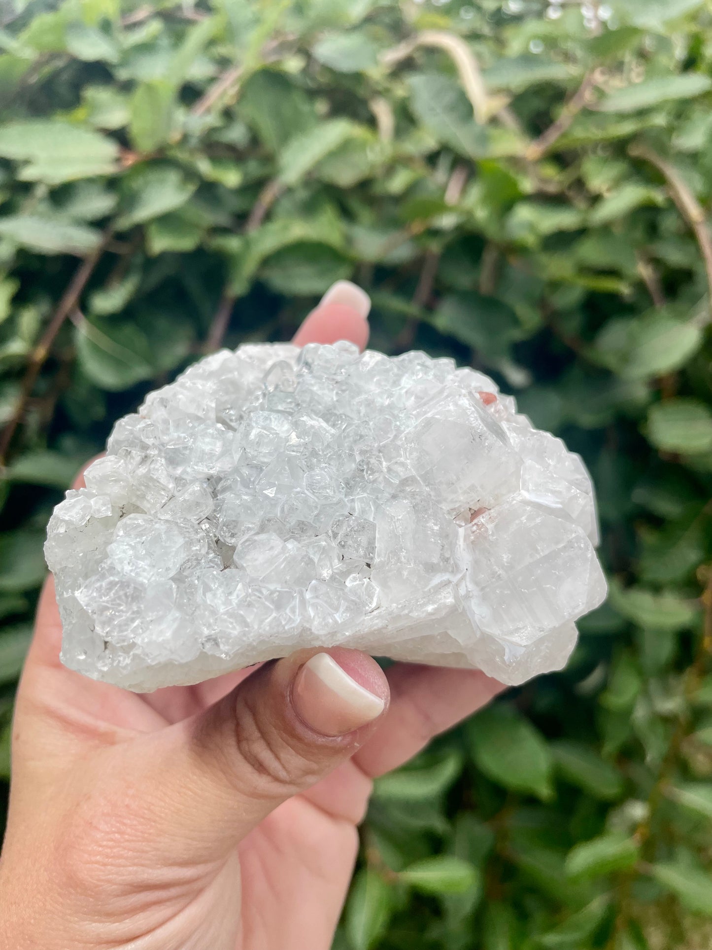 Apophyllite large cluster